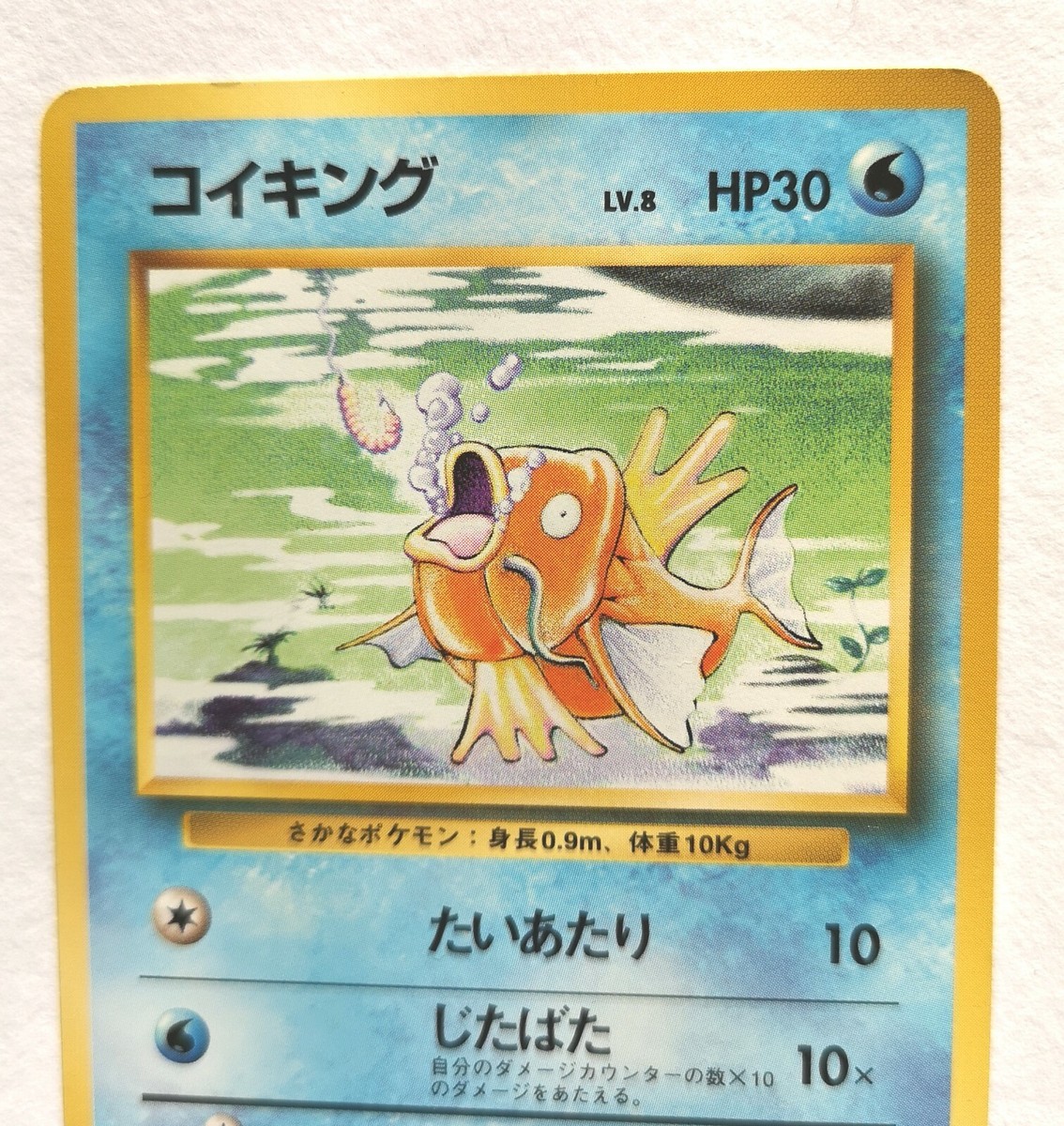 英語版初期Magikarp 1st Edition shadowless