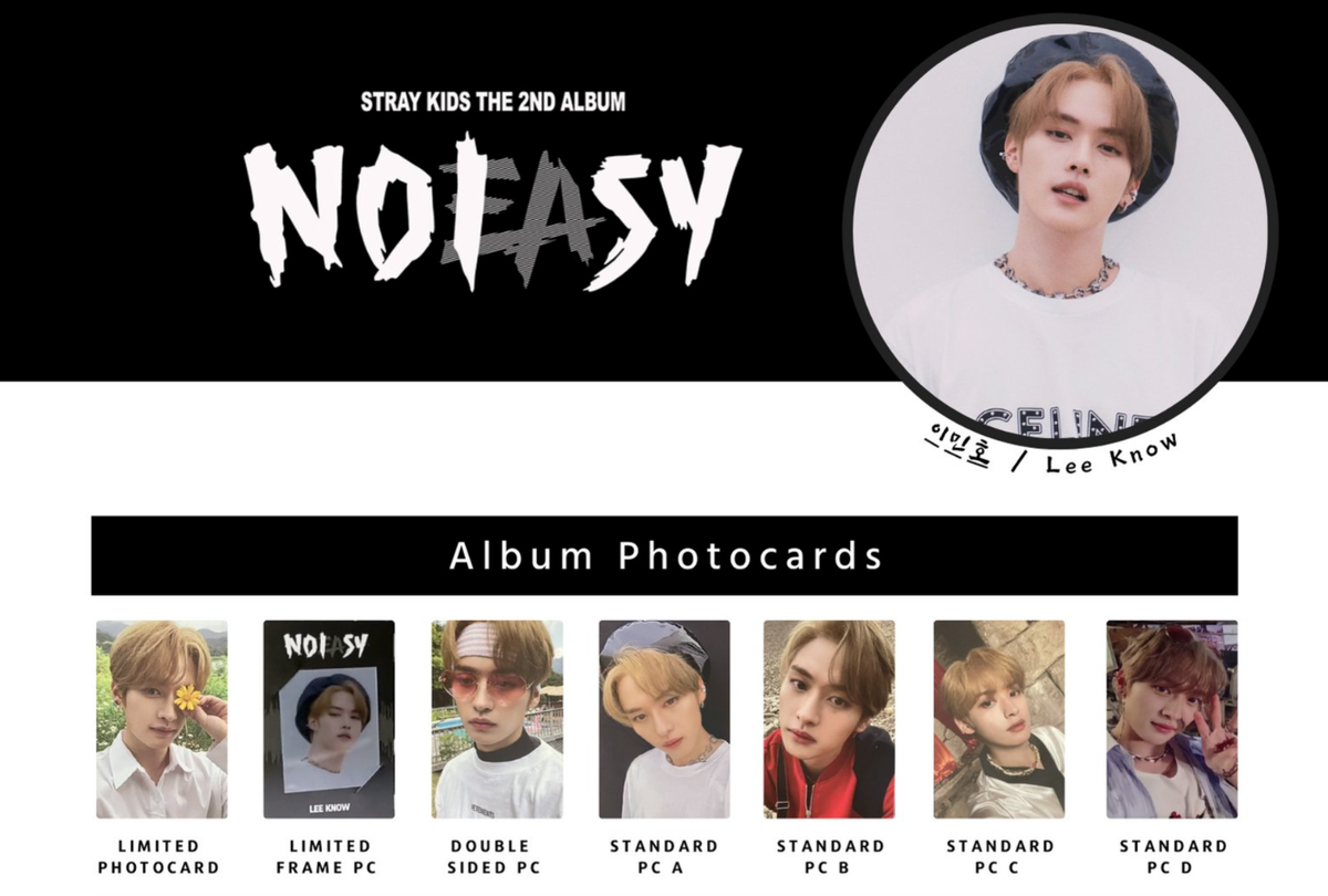 Stray kids Lee Know NOEASY NOISY Official Photo card PC photocard