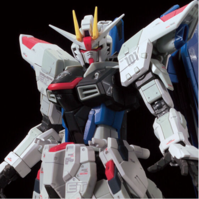 RG 1/144 Gundam Base Limited ZGMF-X10A Freedom Gundam Ver.GCP NEW