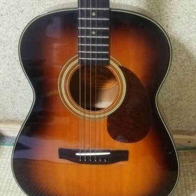 Acoustic Guitar Stafford ＆ Co. SF-200F Sunburst with Bag | eBay