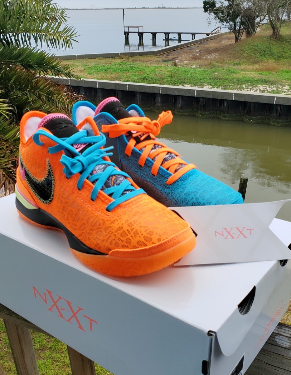 Nike Zoom LeBron James NXXT Gen I Promise DR8784-900 Men's Size