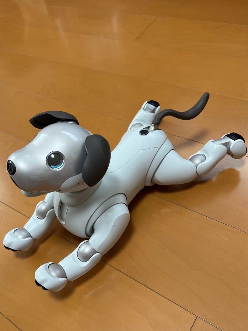 Sony AIBO ERS-1000 Entertainment Robot Dog Silver Tested Fully