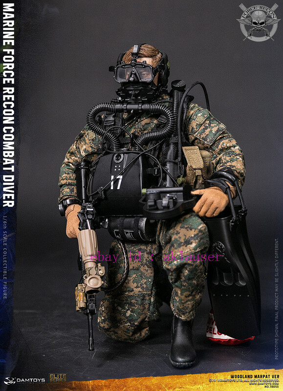 Damtoys 1/6 Dam78055 Us Marine Force Recon Combat Diver Woodland