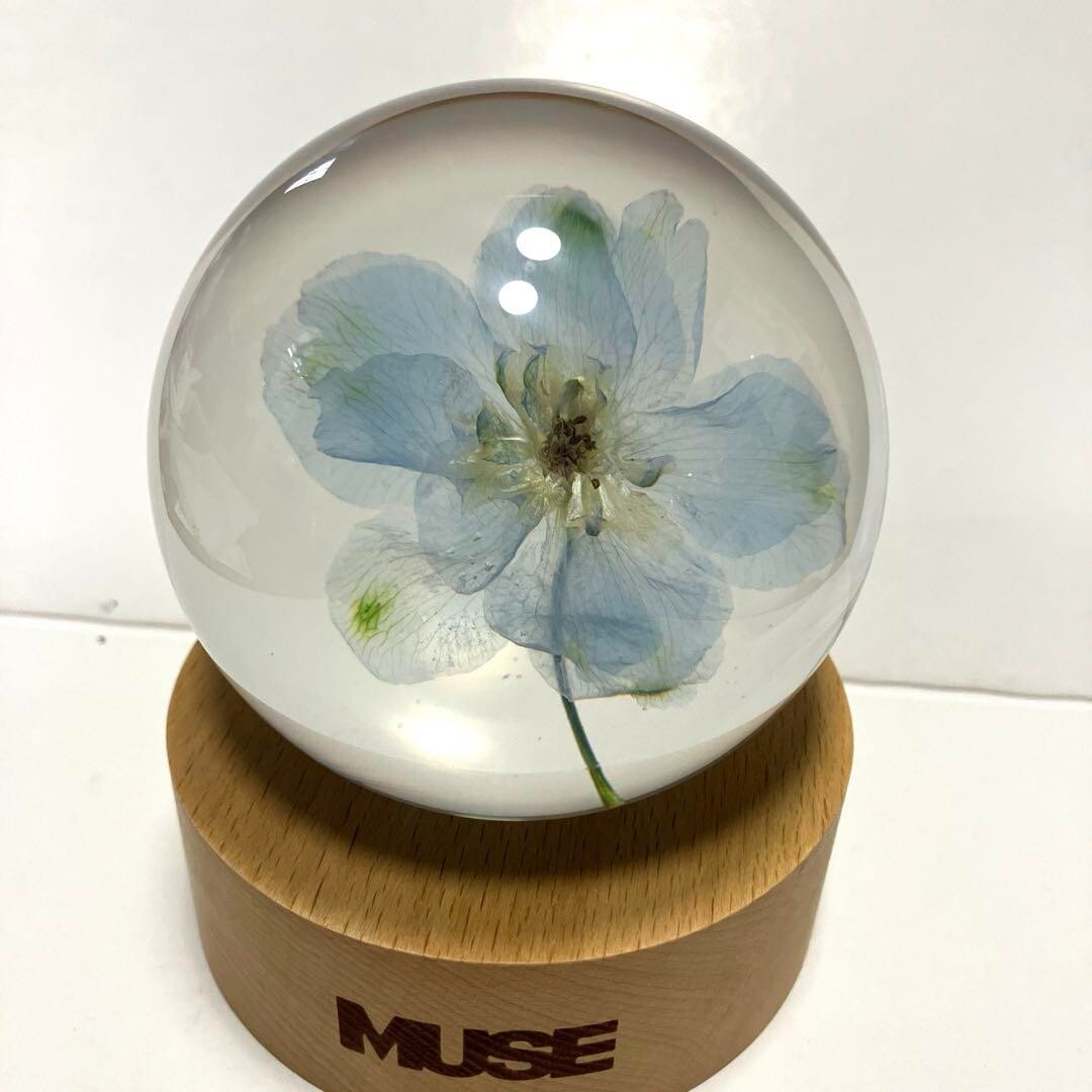 BTS Jimin Muse BLOOMING ver. Flower Paper Weight NEW item rare