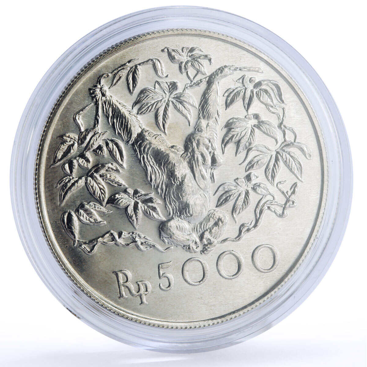 Indonesia 5000 rupiah Conservation Wildlife Orangutan Fauna silver