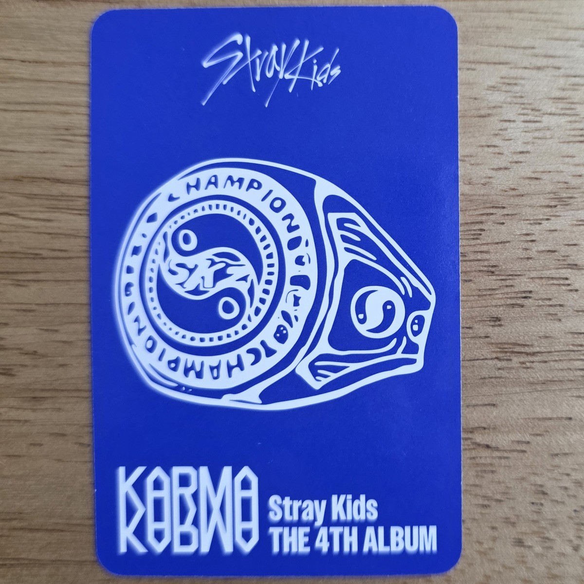 Seungmin Official Photocard Stray Kids Karma Accordion Version