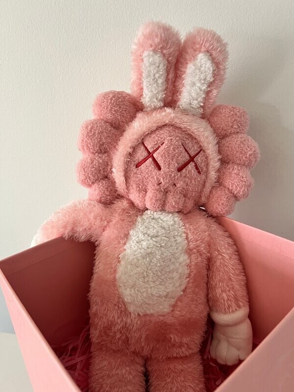 ✓🔥2023 KAWS ACCOMPLICE PLUSH - LIMITED EDITION #0610 of 2000 | eBay