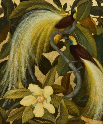 Birds of Paradise : Jessie Arms Botke : 1931 : Archival Quality