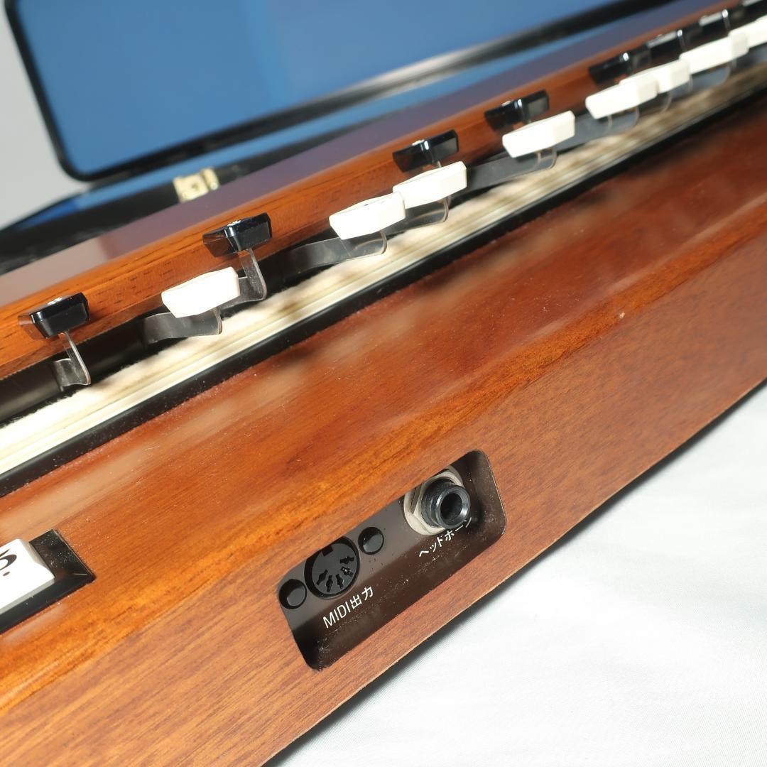 Suzuki TES-100 Taishogoto WARAKU suzuki electric harp Koto Peacock
