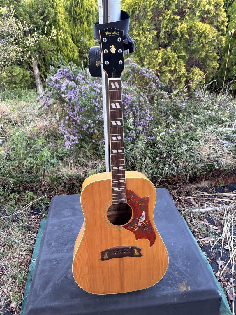 Kiso Suzuki W-65DA Quilted Maple Dove Style Acoustic Guitar Used