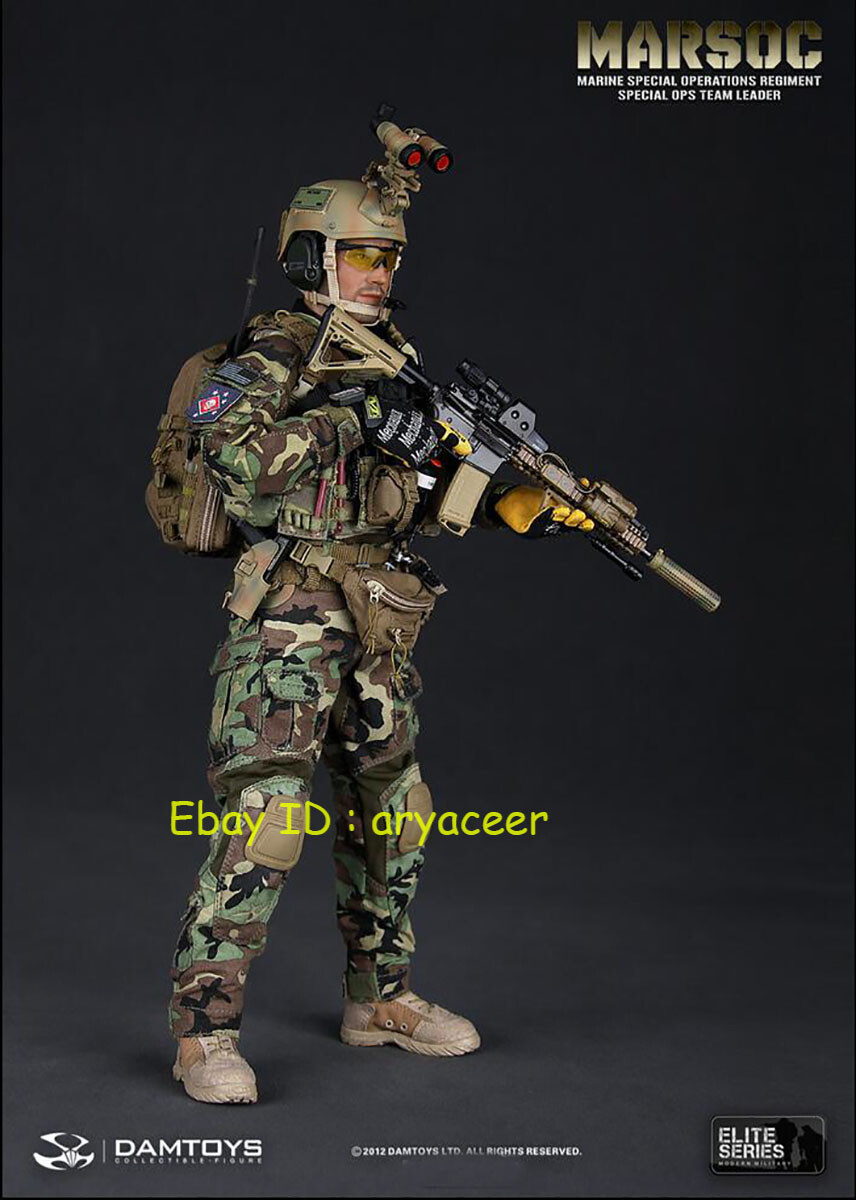DAMTOYS 78006 1/6 Marsoc Special OPS Team Leader Figure Model In