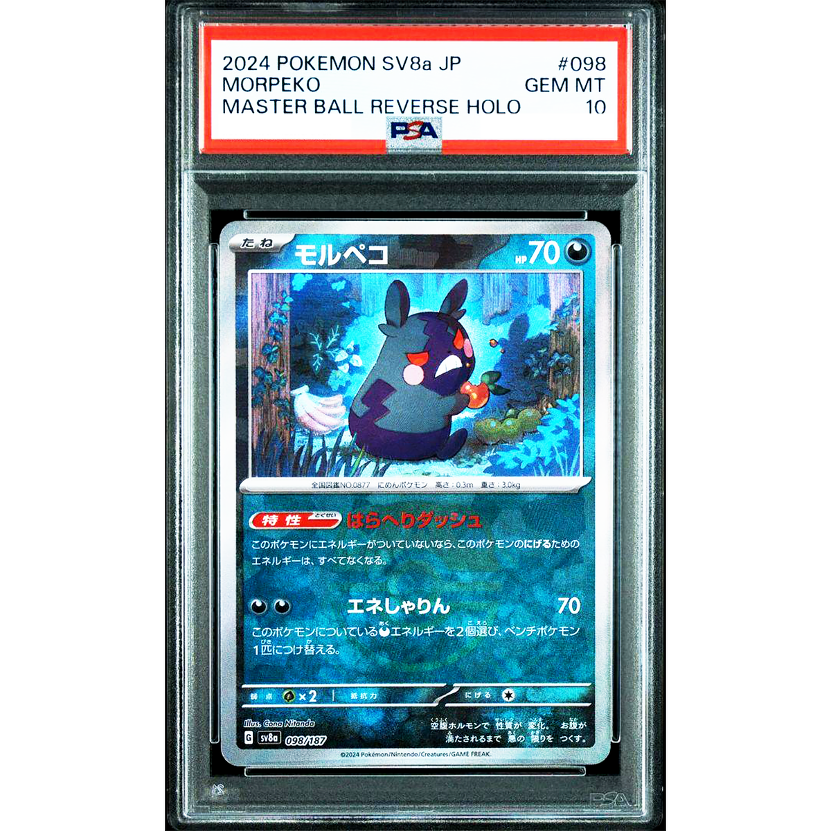 PSA 10 Morpeko Master Ball 098/187 Terastal Festival ex Pokemon