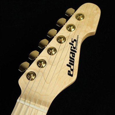 EDWARDS Edwards E-SNAPPER TO Eclipse Gold S N: ED9171233 Takayoshi