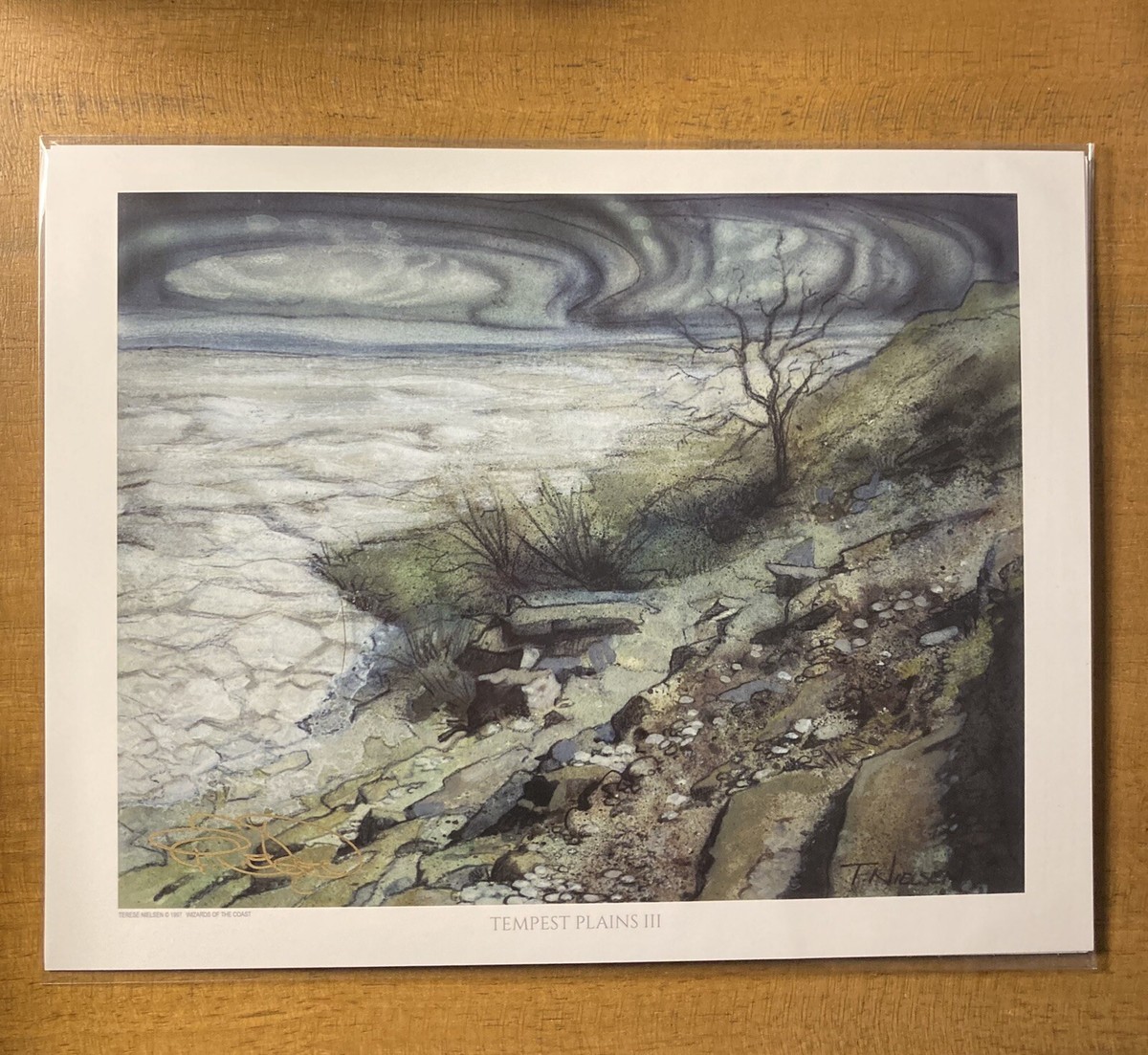 MTG✨Artist Signed PLAINS- Dead Tree ART PRINT & CARD✨Tempest NM