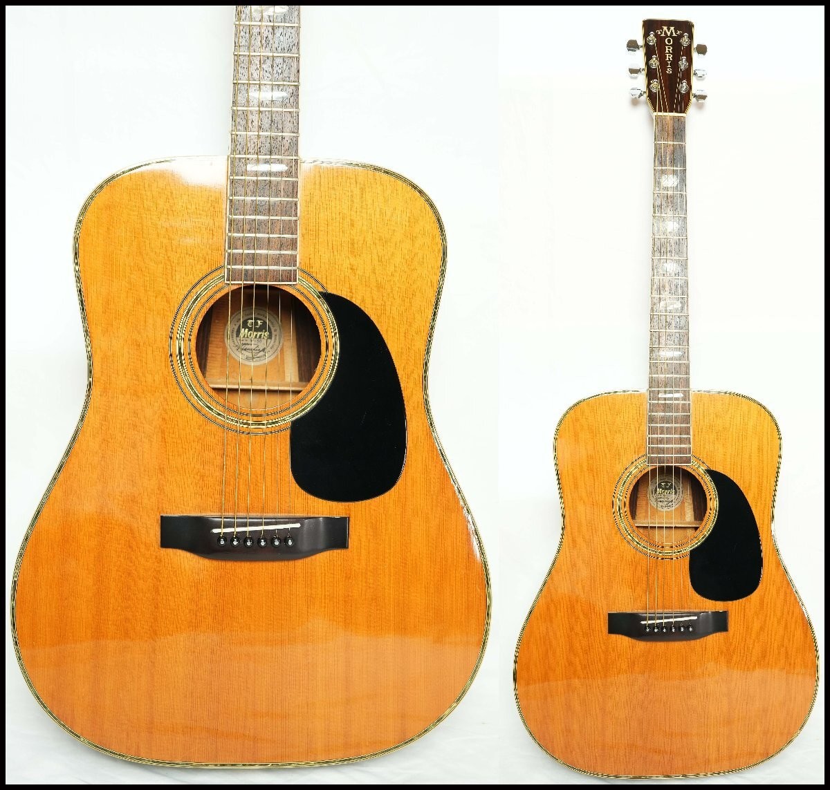 TF MORRIS W-50 Natural 1980s Japan Vintage,Made in Japan Acoustic