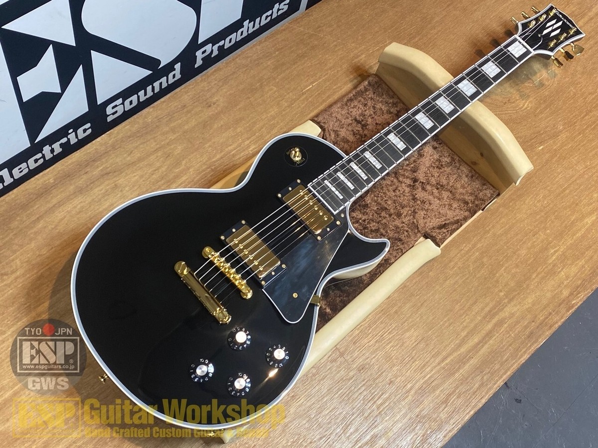 EDWARDS E-LP-CTM Black Brand New | eBay