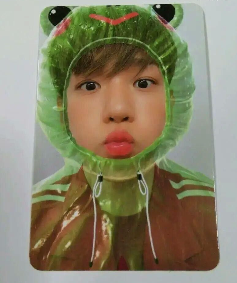 SUPERM BAEKHYUN Official PHOTO CARD Frog SUPER ONE Album US