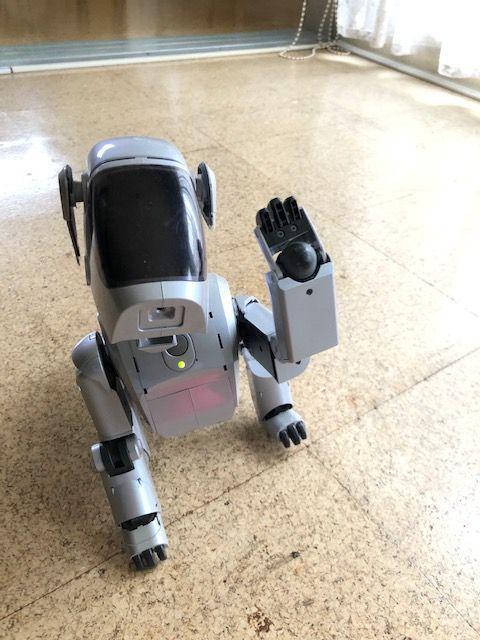 Sony Aibo ERS-111 Dog-Shaped Virtual Pet Robot JAPAN JP | eBay