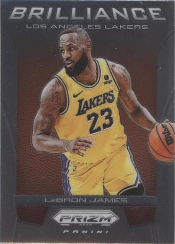 2024 Panini Prizm Deca LeBron James Silver Prizm PSA 10 #286 | eBay