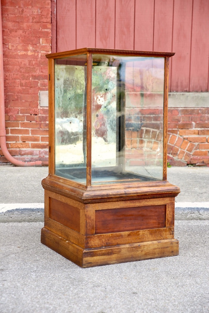 Antique Drug Store Showcase Oak Glass Display Case Trophy Bookcase