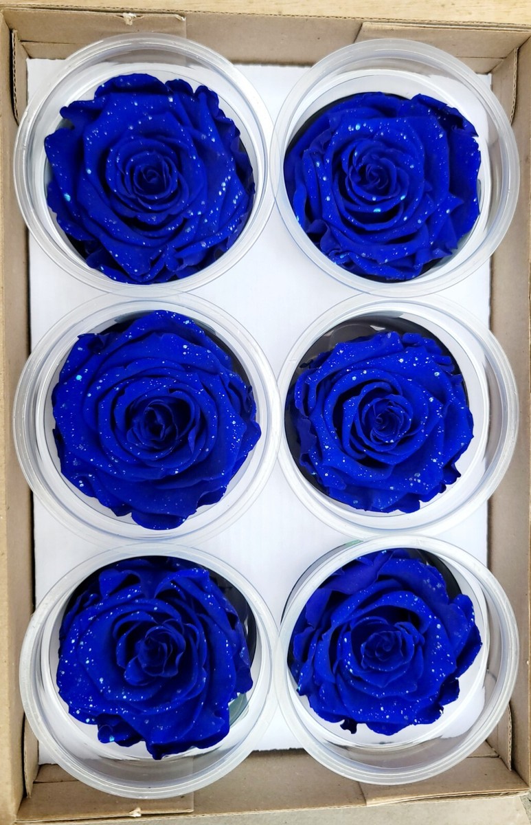 ROYAL BLUE Roses Galaxy blue long-lasting Rose Amor preserved