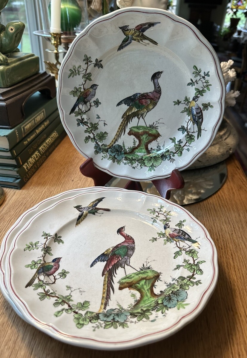 3 Antique Copeland SPODE CHELSEA BIRDS Plates 8 3/4” | eBay