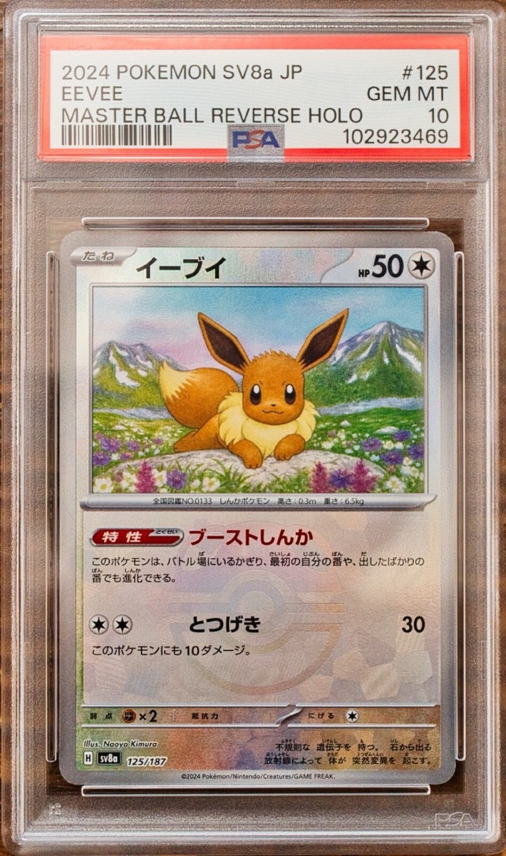 PSA 10 Eevee Evolutions Master Ball SEQ Set Terastal Festival
