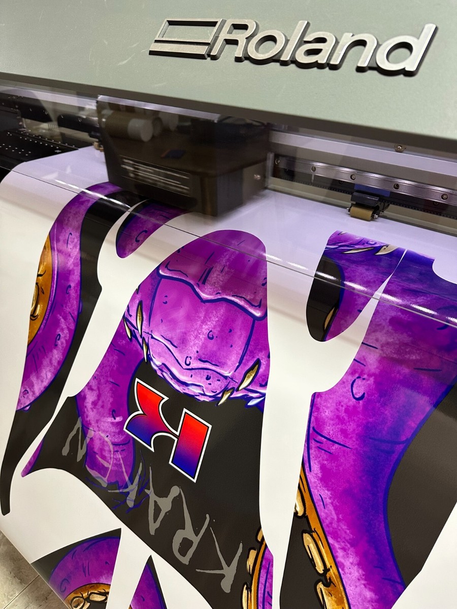 KAWASAKI 1100 / 900/ 750 ZXI JETSKI GRAPHIC SET / KIT DECAL