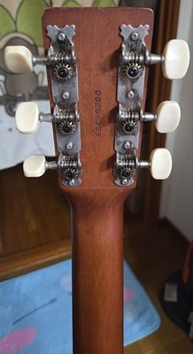 Acoustic Guitar Art & Lutherie Canada AMI Cedar Blue | eBay