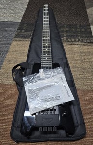 Steinberger Case | eBay