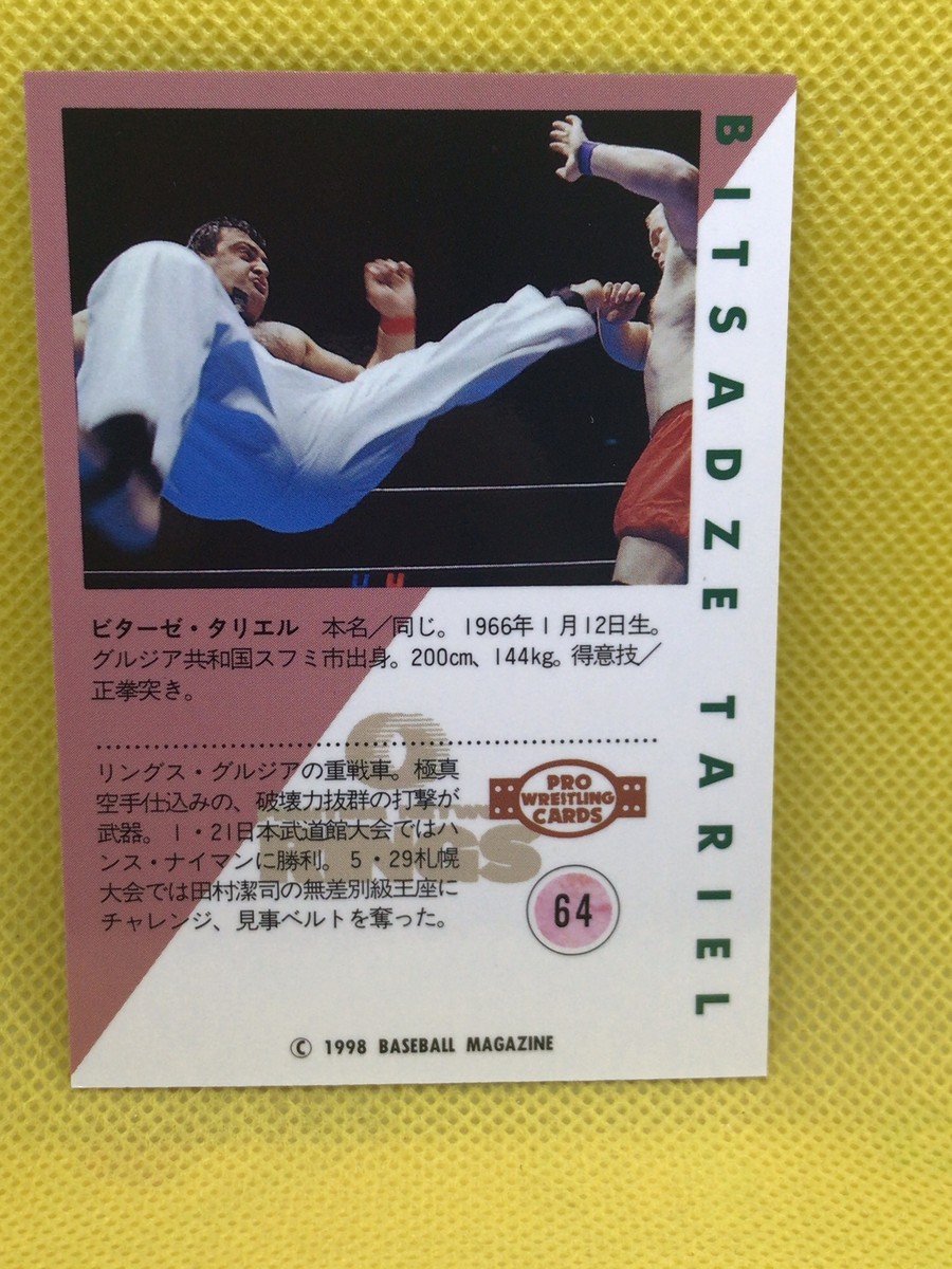 マジック：ザ・ギャザリング Visions ソーサリー 1995年 Nene T