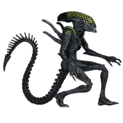 NECA Grid Alien Xenomorph Warrior AVP 7