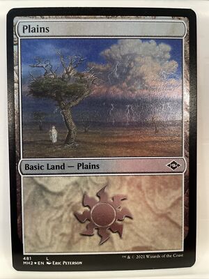 Plains Etched Foil Basic Land (481) Modern Horizons 2 NM Magic the