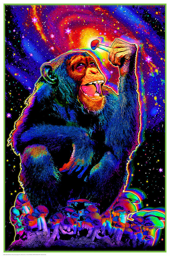 MONKEY MUSHROOM - TRIPPY BLACKLIGHT POSTER - 24X36 - 459 | eBay