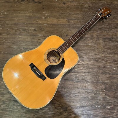 Morris W-20 Acoustic Guitar Used Acoustic Guitar | eBay
