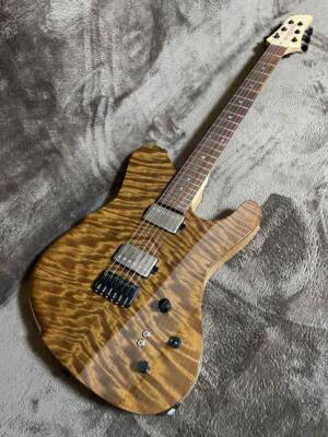 Electric Guitar Dragonfly Border 666 Gloss Natural Maple Neck with