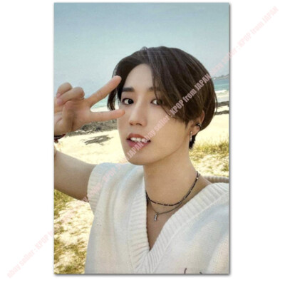 Han Stray kids Stay in STAY in JEJU Official POB Photocard SKZOO