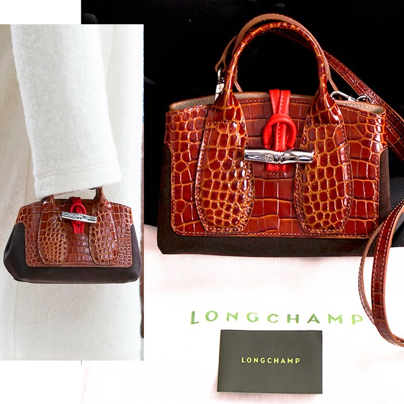 レア】LONGCHAMPS コンポティエ 赤 ボタニカル レア】LONGCHAMPS