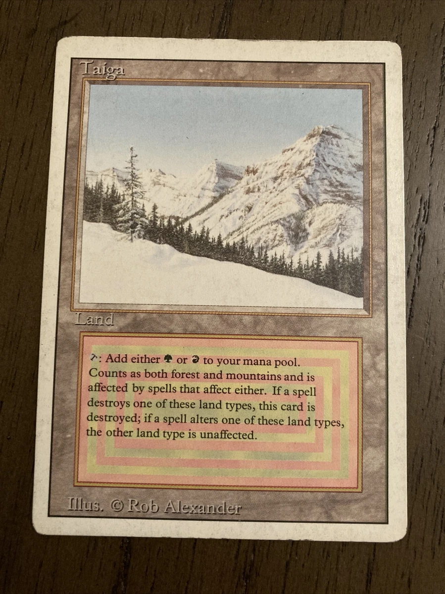 Taiga Magic: The Gathering Individual Trading Card Games for sale