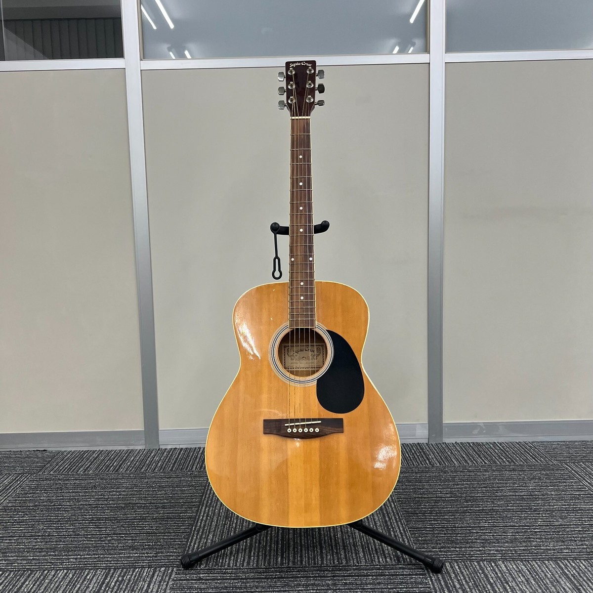 Sepia Crue F-130N Guitar | eBay