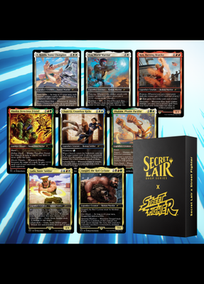 MTG Secret Lair x Street Fighter BOX | eBay