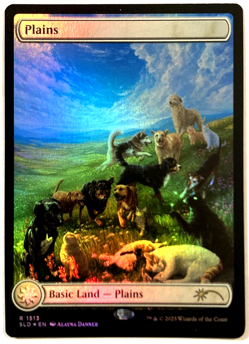 MTG Plains *FOIL* Secret Lair Commander Deck Raining Cats and Dogs