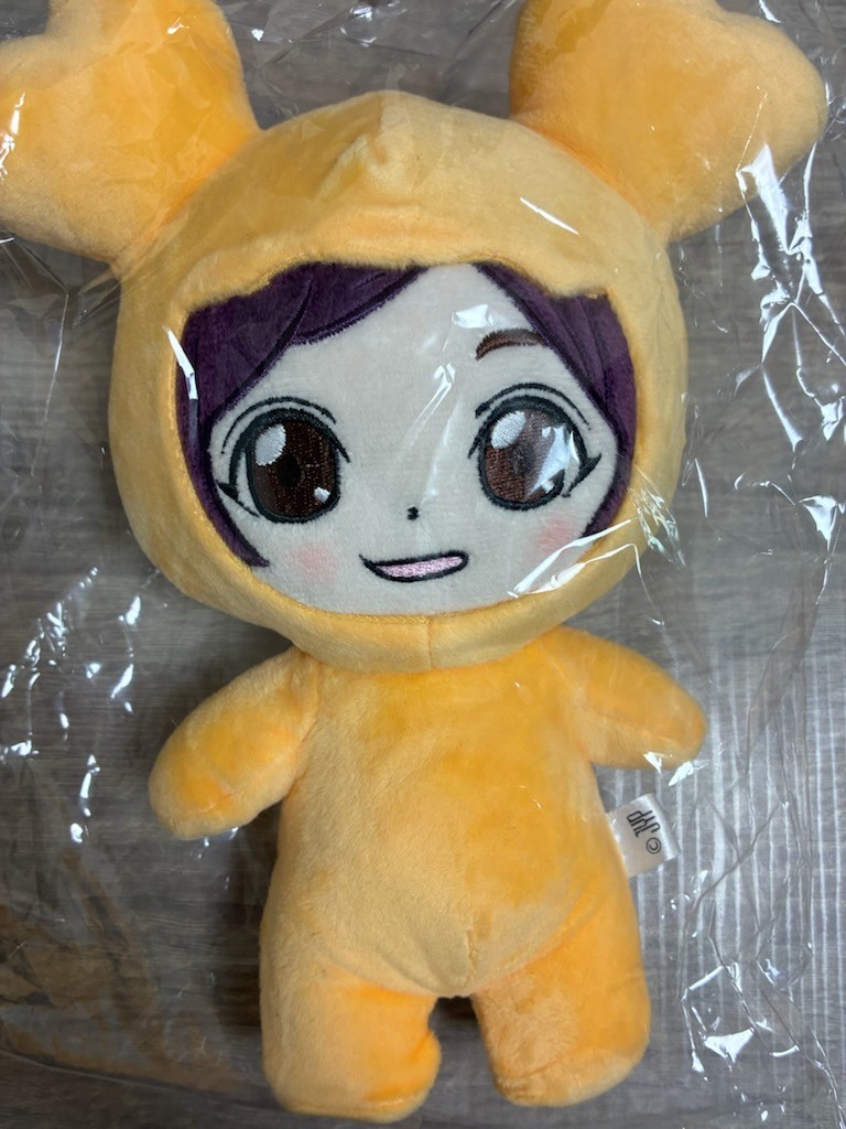 TWICE Twice WORLD TOUR LIGHTS in JPN Official JIHYO JIVELY Plush