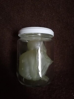 JAR OF PUS Liquid Pus PUSHEAD 2001 FEWTURE MODELS skull figure