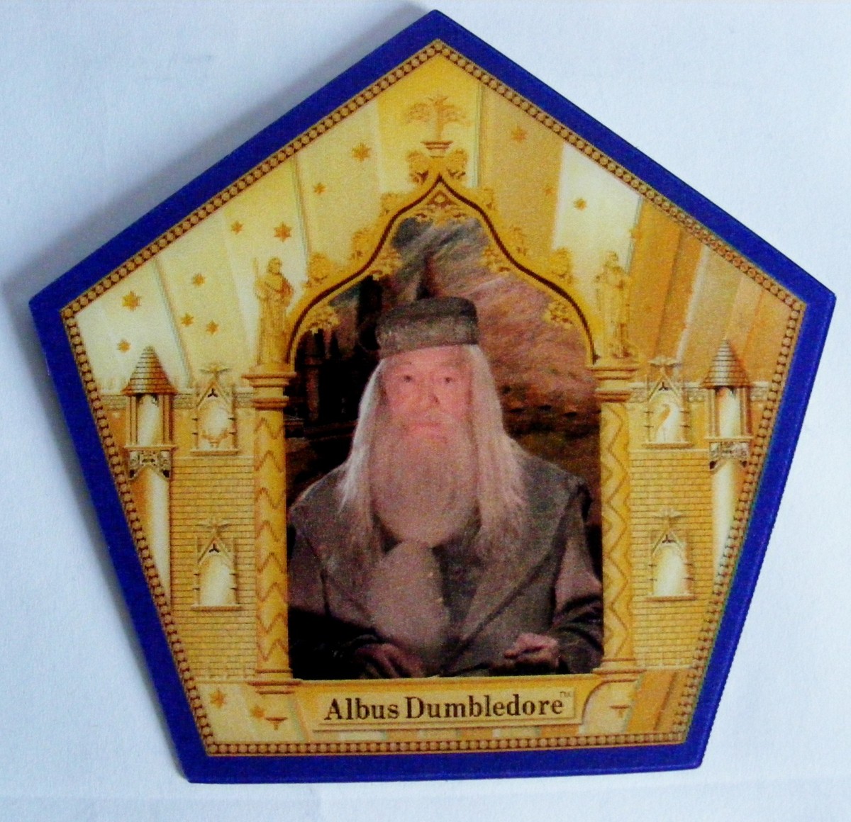 Harry Potter Collectable RARE Chocolate Frog Wizard Card -Choose