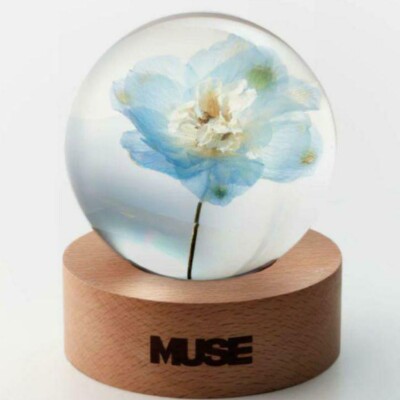 BTS Jimin Muse BLOOMING ver. Flower Paper Weight NEW | eBay