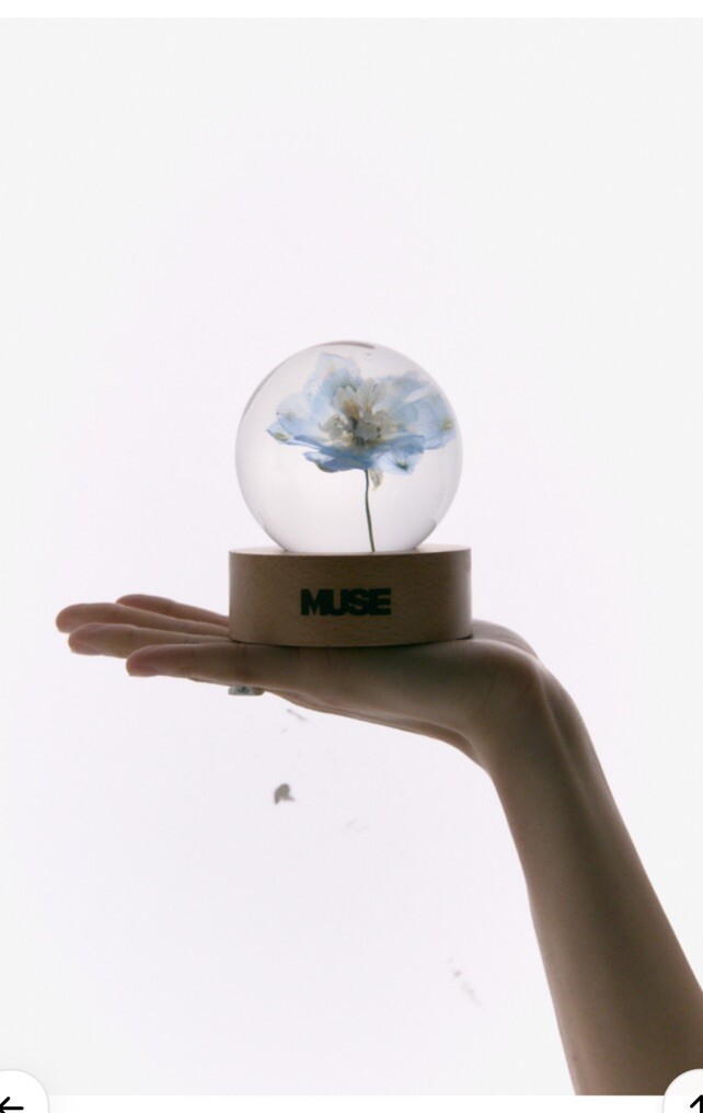 ON HAND ‼️BTS JIMIN MUSE BLOOMING PAPER WEIGHT DRIED FLOWER