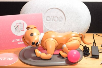 Aibo SONY ERS-1000 Caramel Edition Limited Color Robot Pet Dog