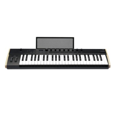 Korg 49-Key Midi Controller Compact (KEYSTAGE49) for sale online