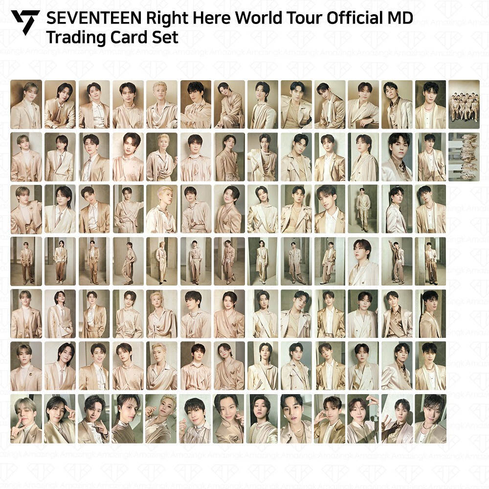 SEVENTEEN Right Here World Tour Official MD Trading Card Set